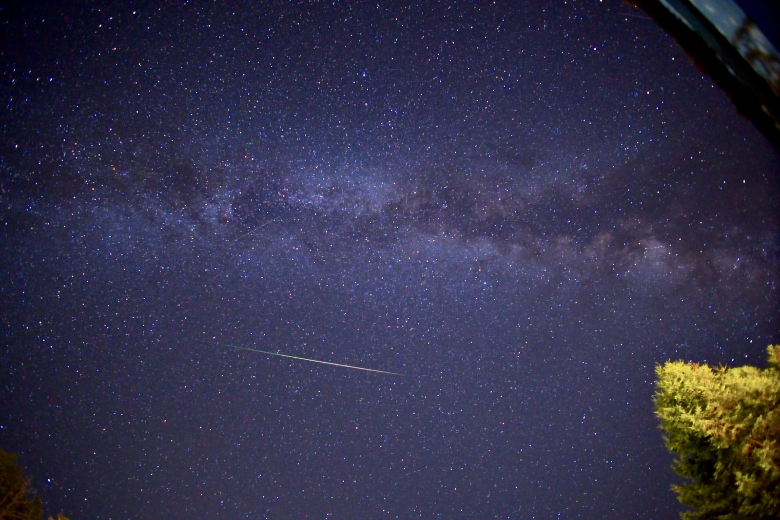 Perseid Meteors